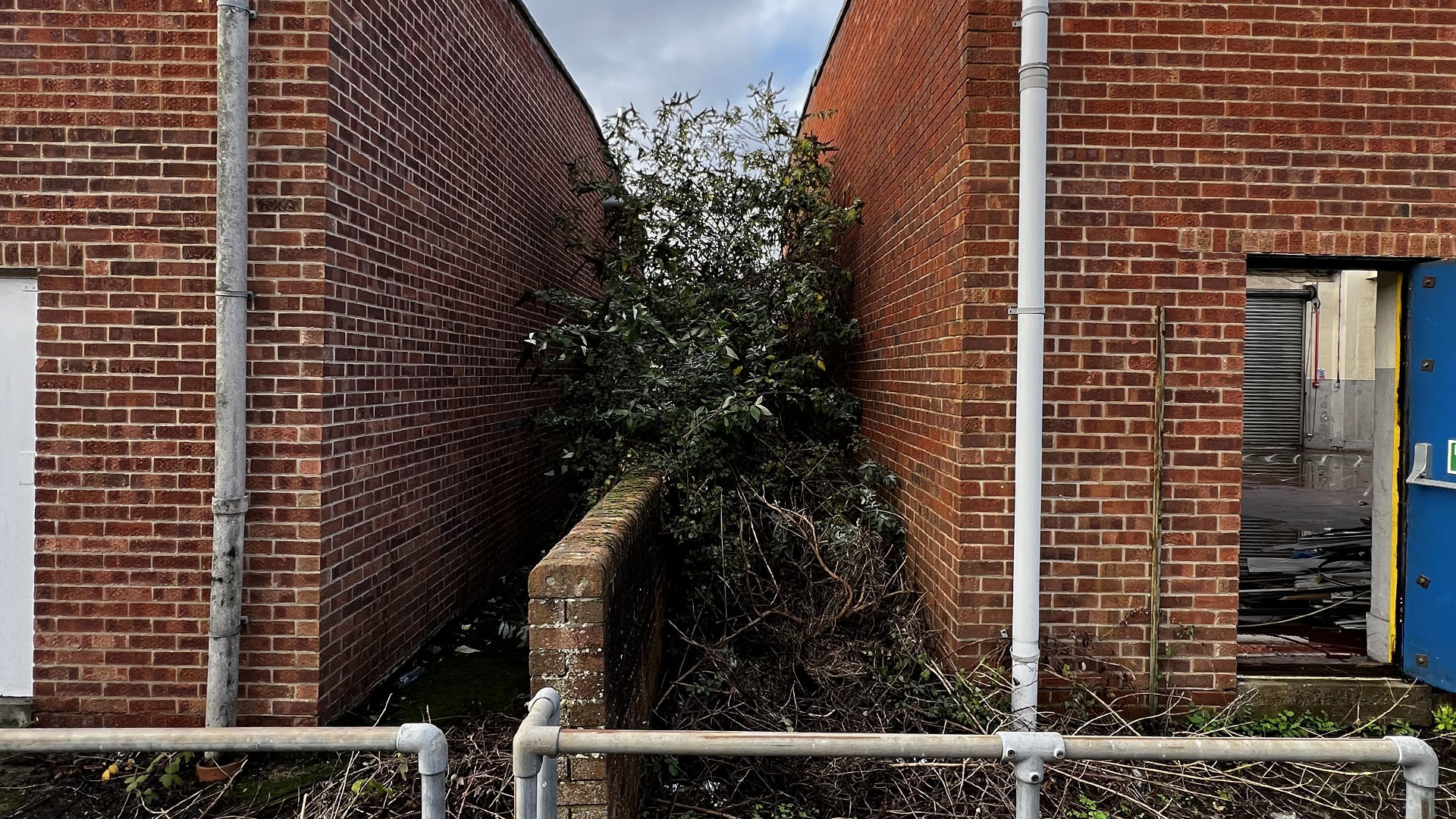 Who Should You Contact First — The Council, a Surveyor, or Your Neighbour Kingswood & Fishponds?
